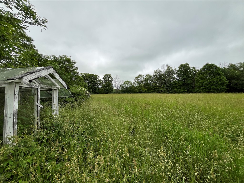 326 Park Hill Road Erin, NY 14838 - Photo 11 of 50