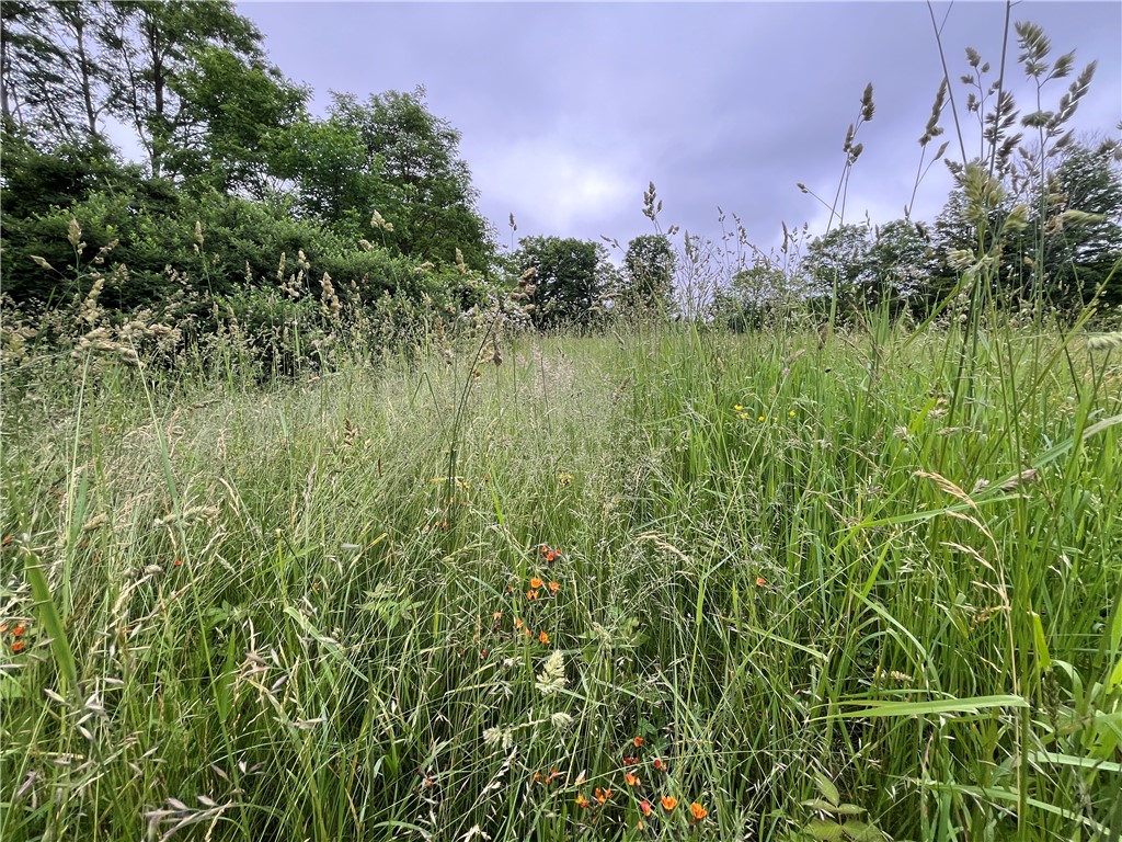 326 Park Hill Road Erin, NY 14838 - Photo 12 of 50