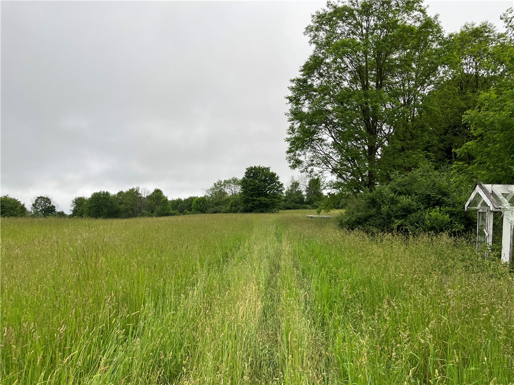 326 Park Hill Road Erin, NY 14838 - Photo 14 of 50