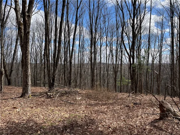 $369,900 | 326 Park Hill Road, Erin, NY 14838