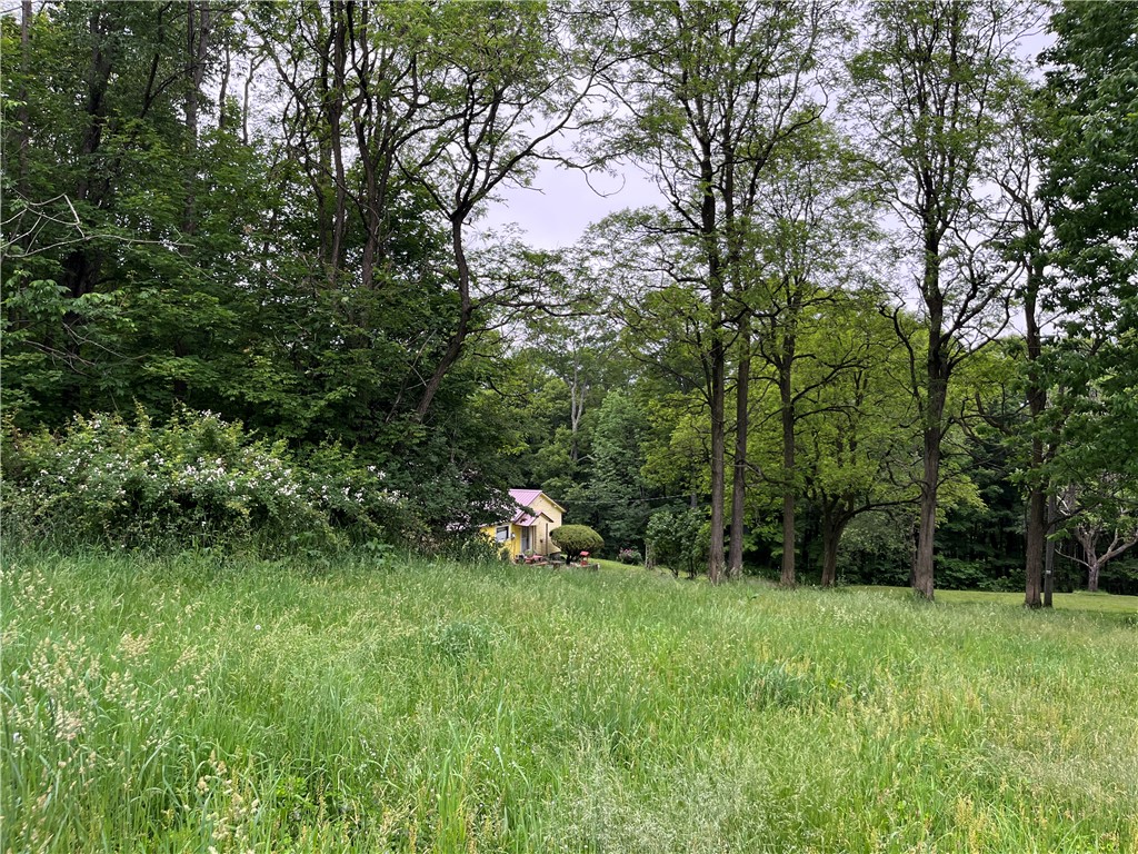 326 Park Hill Road Erin, NY 14838 - Photo 18 of 50