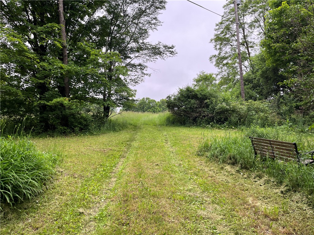 326 Park Hill Road Erin, NY 14838 - Photo 19 of 50