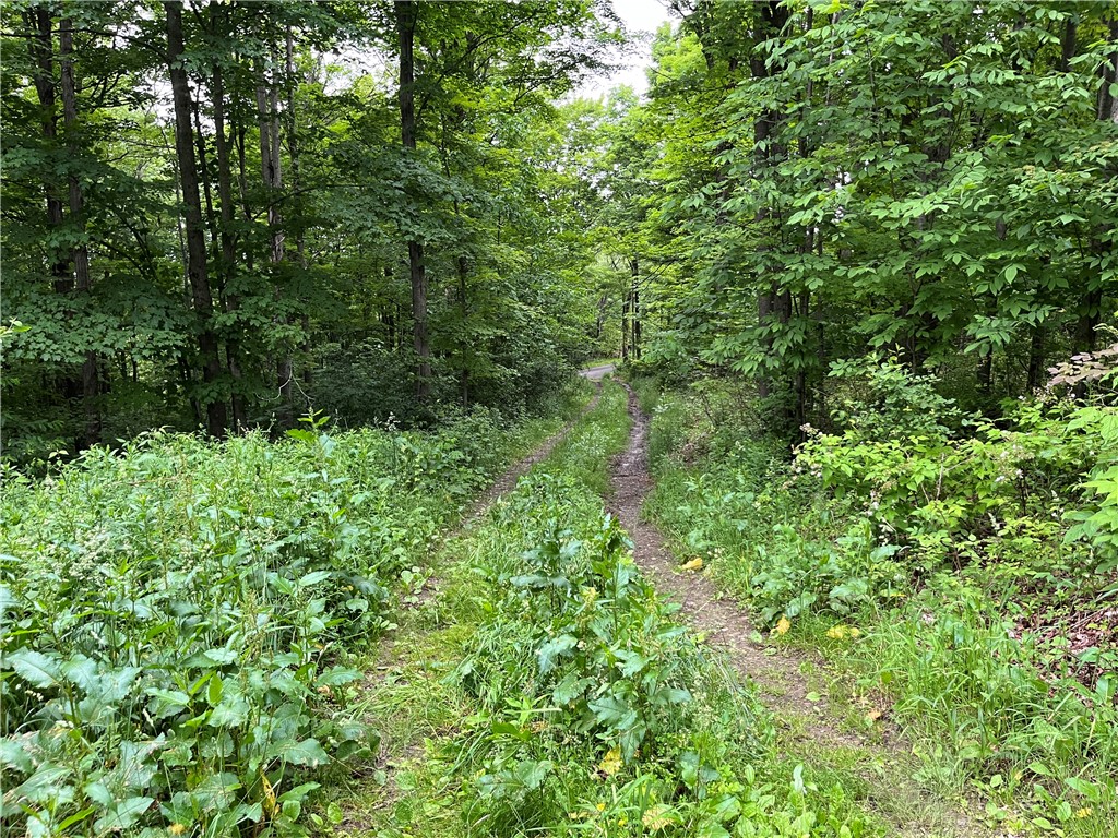 326 Park Hill Road Erin, NY 14838 - Photo 20 of 50