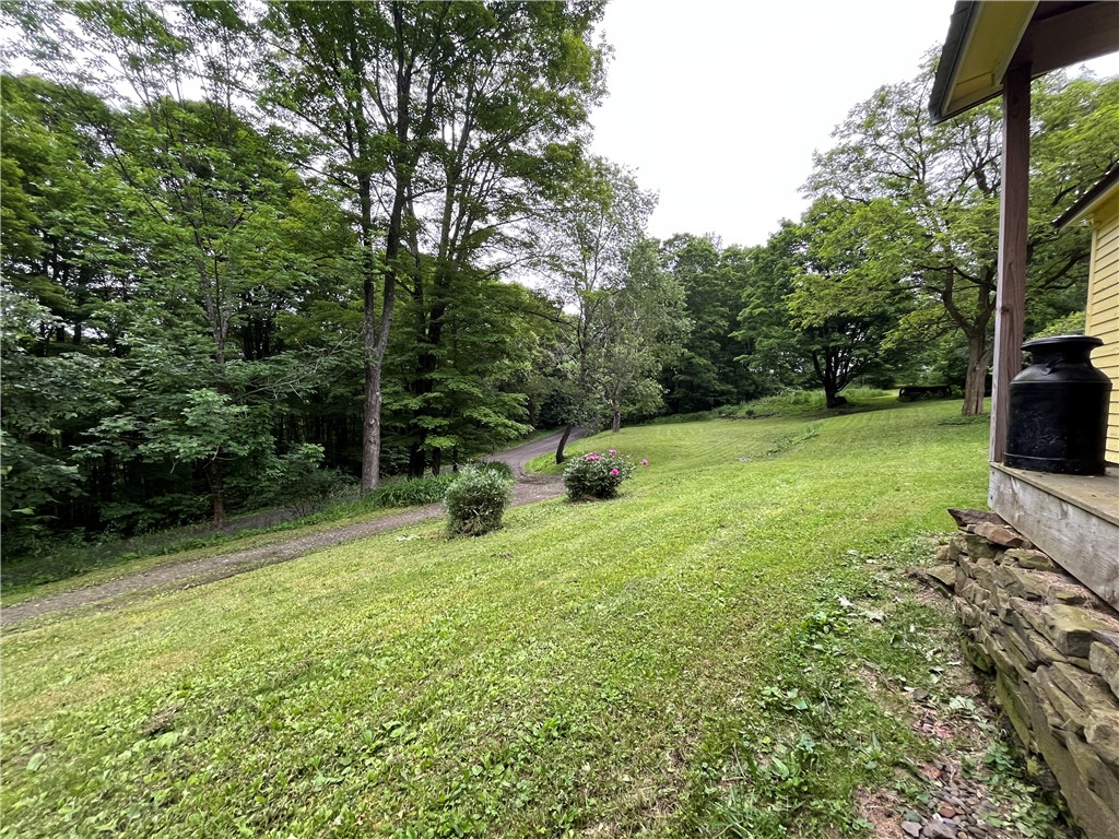 326 Park Hill Road Erin, NY 14838 - Photo 24 of 50