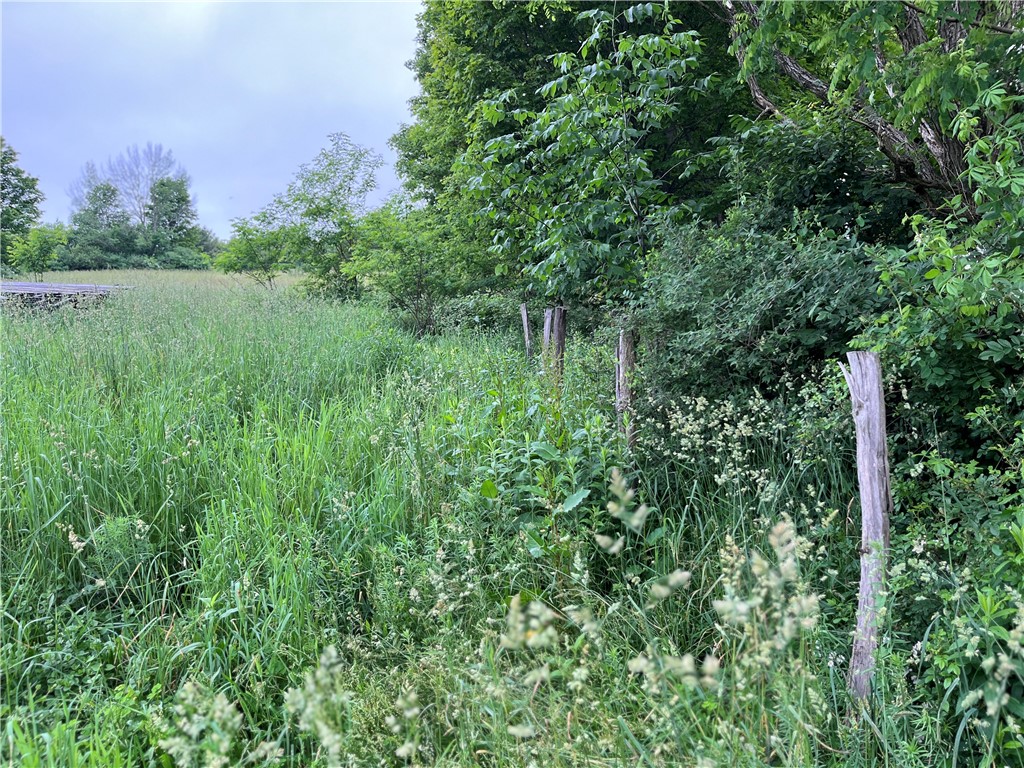 326 Park Hill Road Erin, NY 14838 - Photo 39 of 50