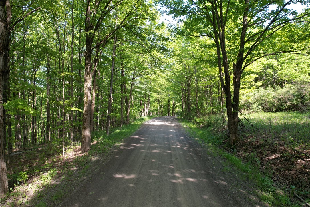 326 Park Hill Road Erin, NY 14838 - Photo 4 of 50