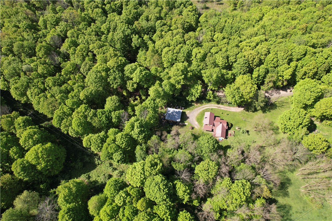 326 Park Hill Road Erin, NY 14838 - Photo 42 of 50