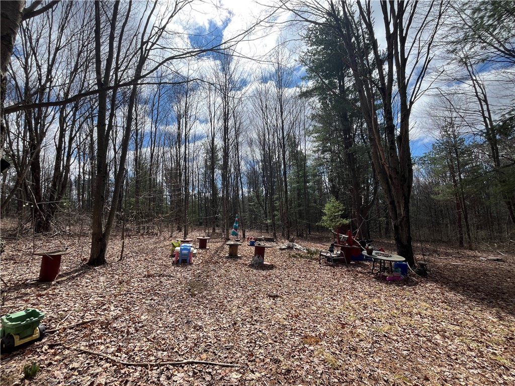 326 Park Hill Road Erin, NY 14838 - Photo 45 of 50