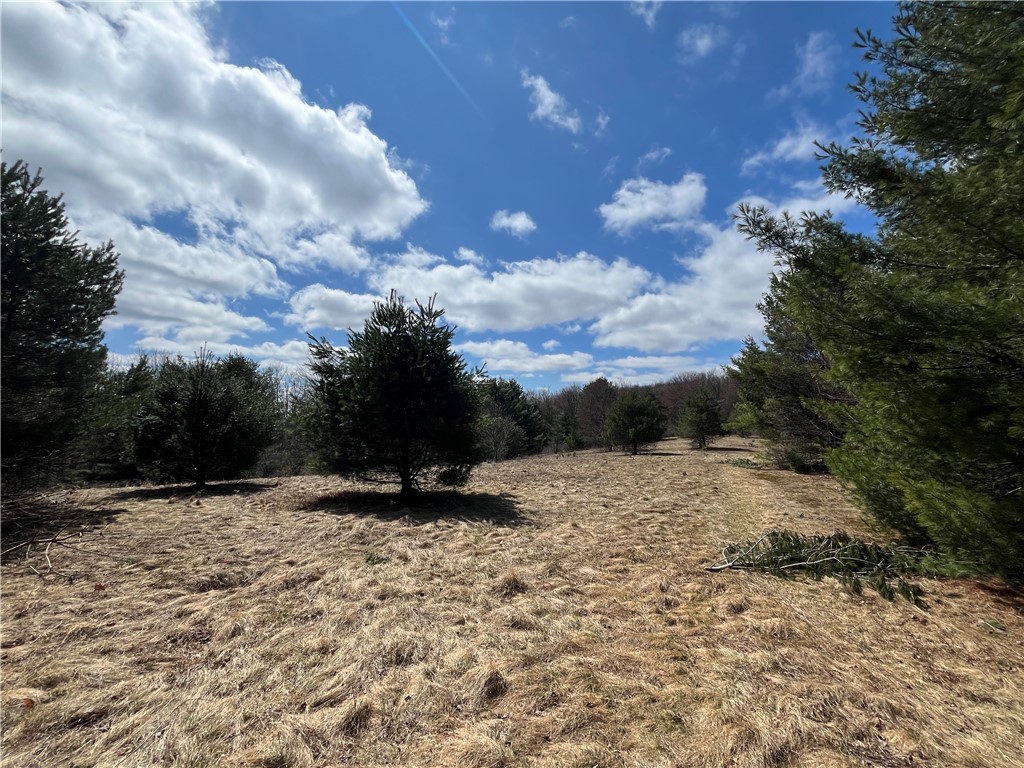 326 Park Hill Road Erin, NY 14838 - Photo 47 of 50