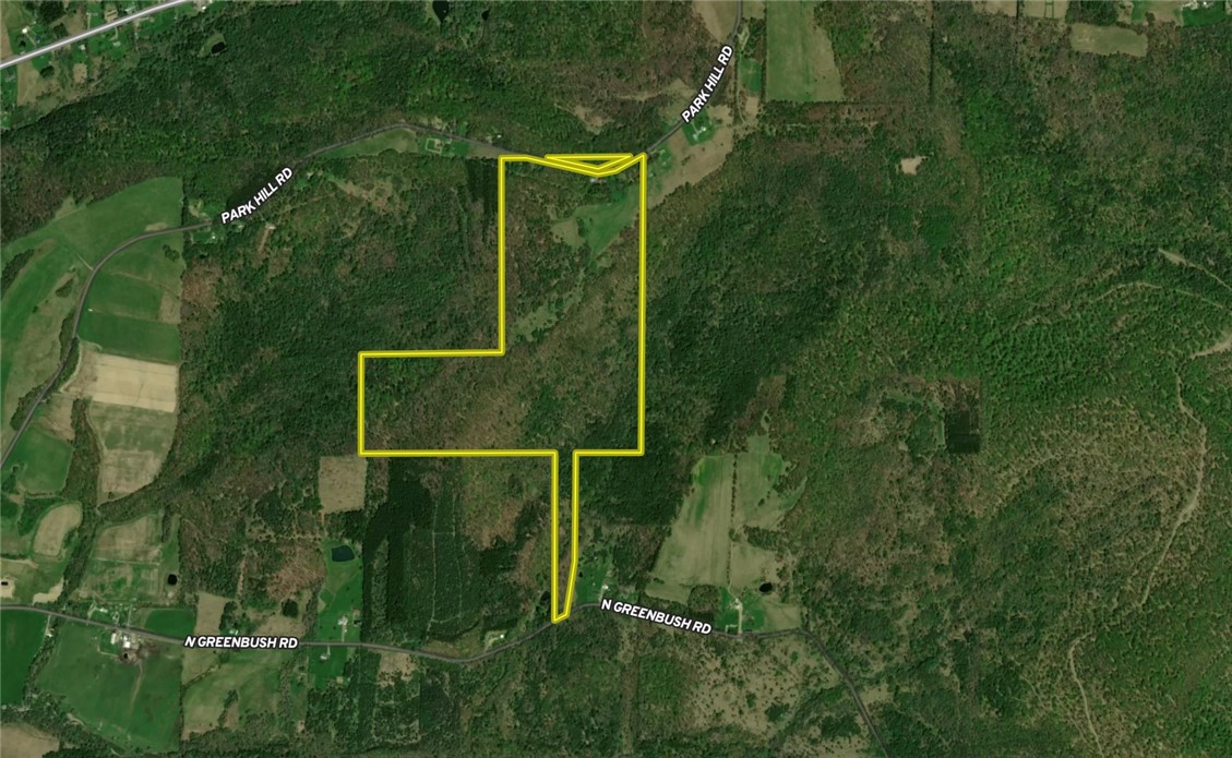 326 Park Hill Road Erin, NY 14838 - Photo 48 of 50