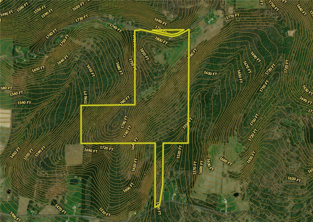 326 Park Hill Road Erin, NY 14838 - Photo 49 of 50