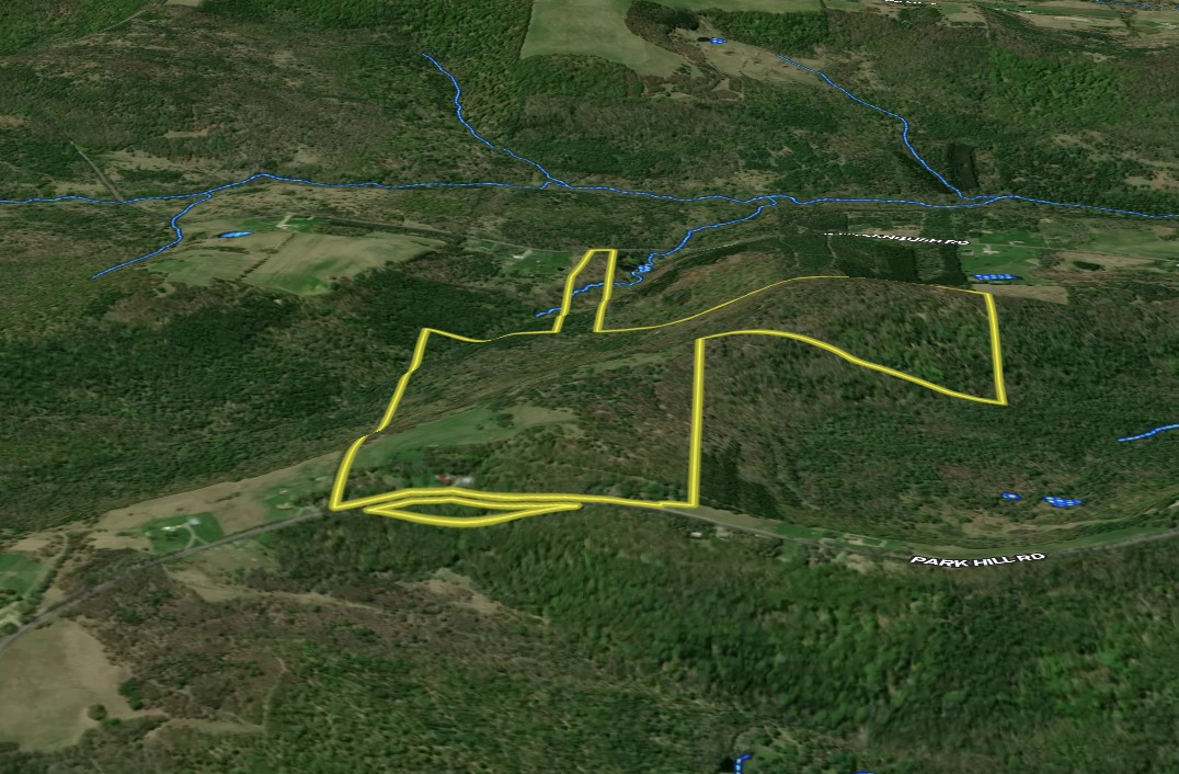 326 Park Hill Road Erin, NY 14838 - Photo 50 of 50