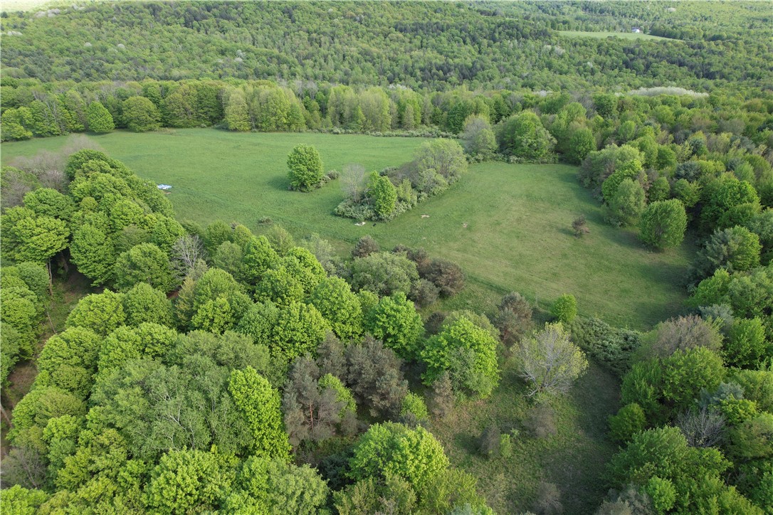 326 Park Hill Road Erin, NY 14838 - Photo 5 of 50