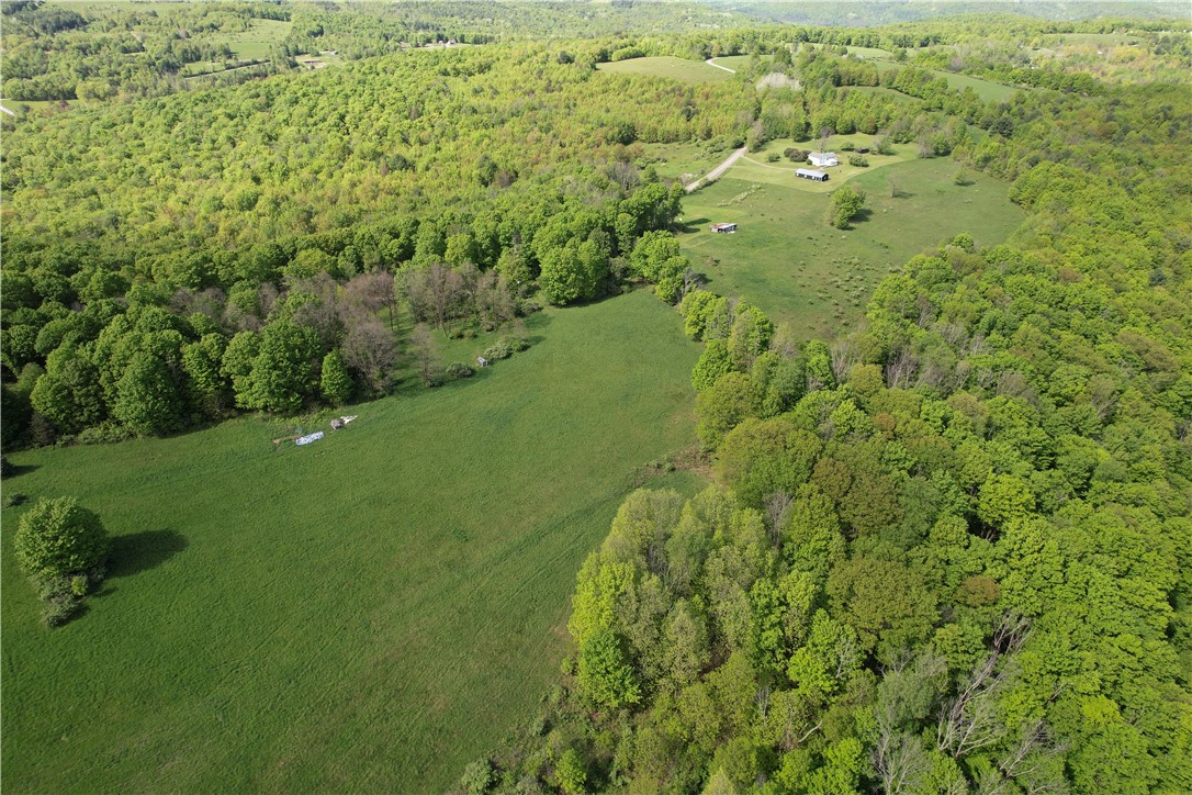 326 Park Hill Road Erin, NY 14838 - Photo 6 of 50