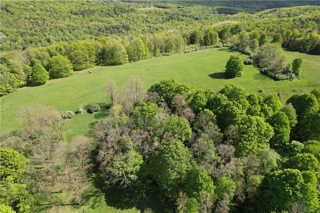 326 Park Hill Road Erin, NY 14838 - Photo 7 of 50