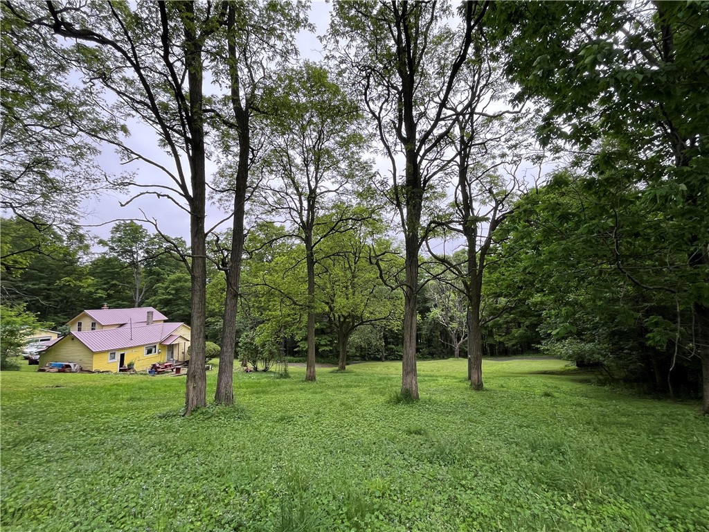 326 Park Hill Road Erin, NY 14838 - Photo 8 of 50