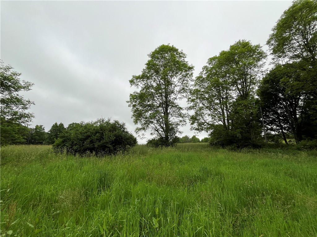 326 Park Hill Road Erin, NY 14838 - Photo 9 of 50