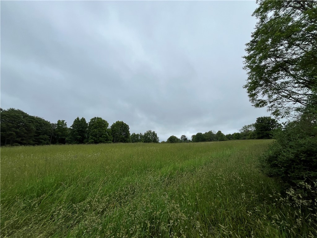 326 Park Hill Road Erin, NY 14838 - Photo 10 of 50