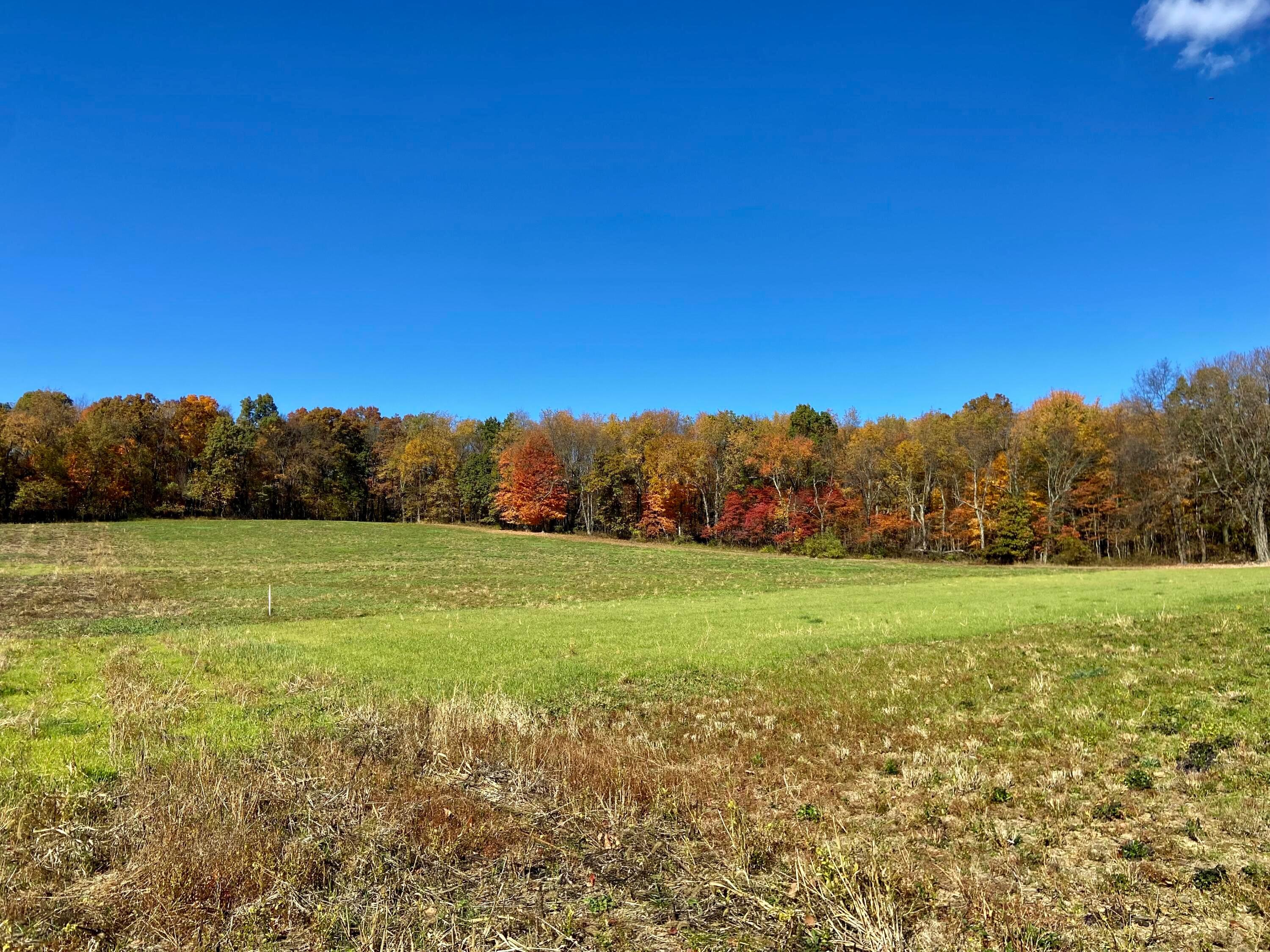 0 Dog Hollow Road, Unit LOT #5 Utica, OH 43080 - Photo 19 of 24