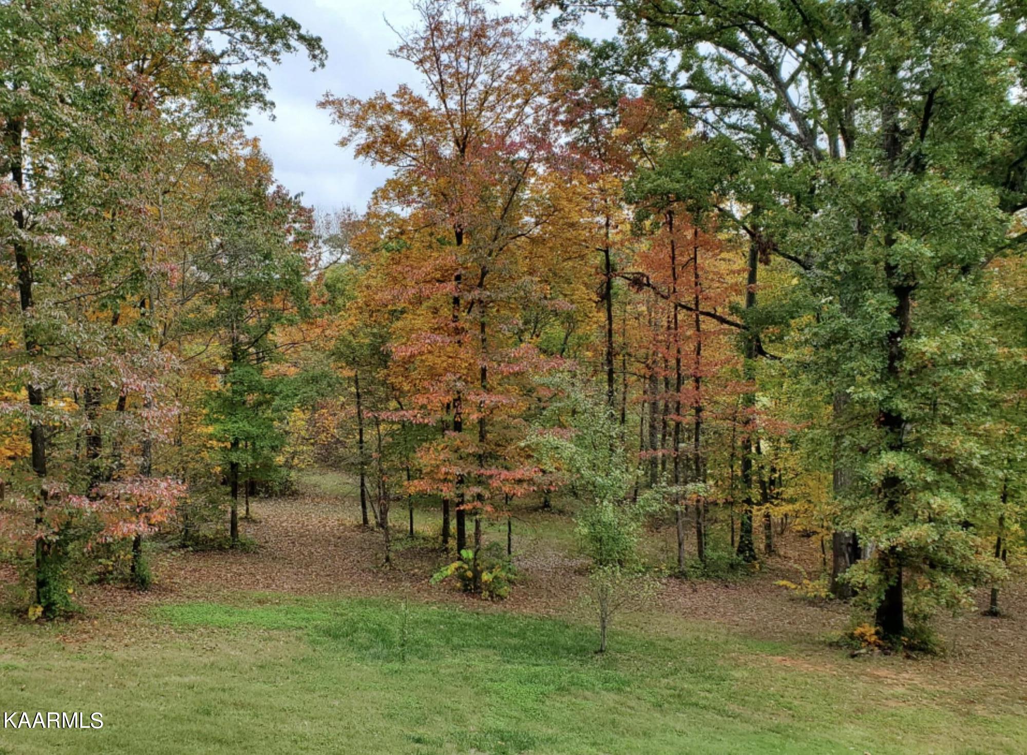 535 Thompson Bridge Road Maryville, TN 37801 - Photo 12 of 15 Resized_20201024_122058