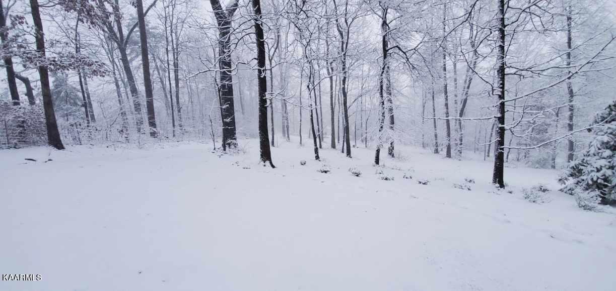 535 Thompson Bridge Road Maryville, TN 37801 - Photo 15 of 15 Resized_20201224_171003