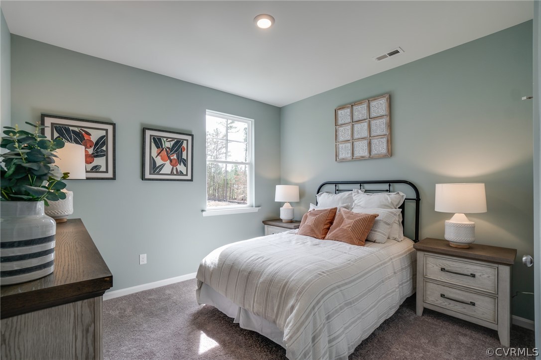 5636 Rohan Place Moseley, VA 23120 - Photo 19 of 45 Gallery Image 19