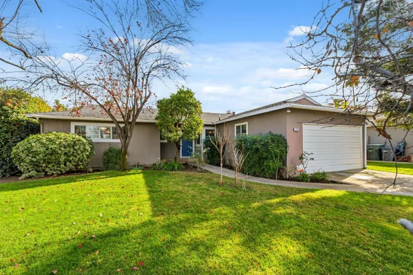 a backyard of a house with plants and large tree