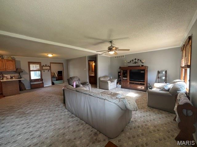 309 Palmyra Street Perry, MO 63462 - Photo 8 of 30