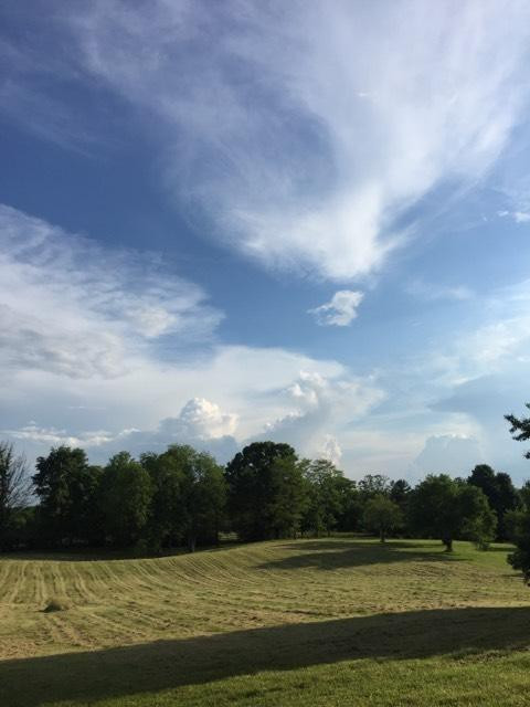 294 Craigs Creek Road Versailles, KY 40383 - Photo 51 of 61 Photo 51