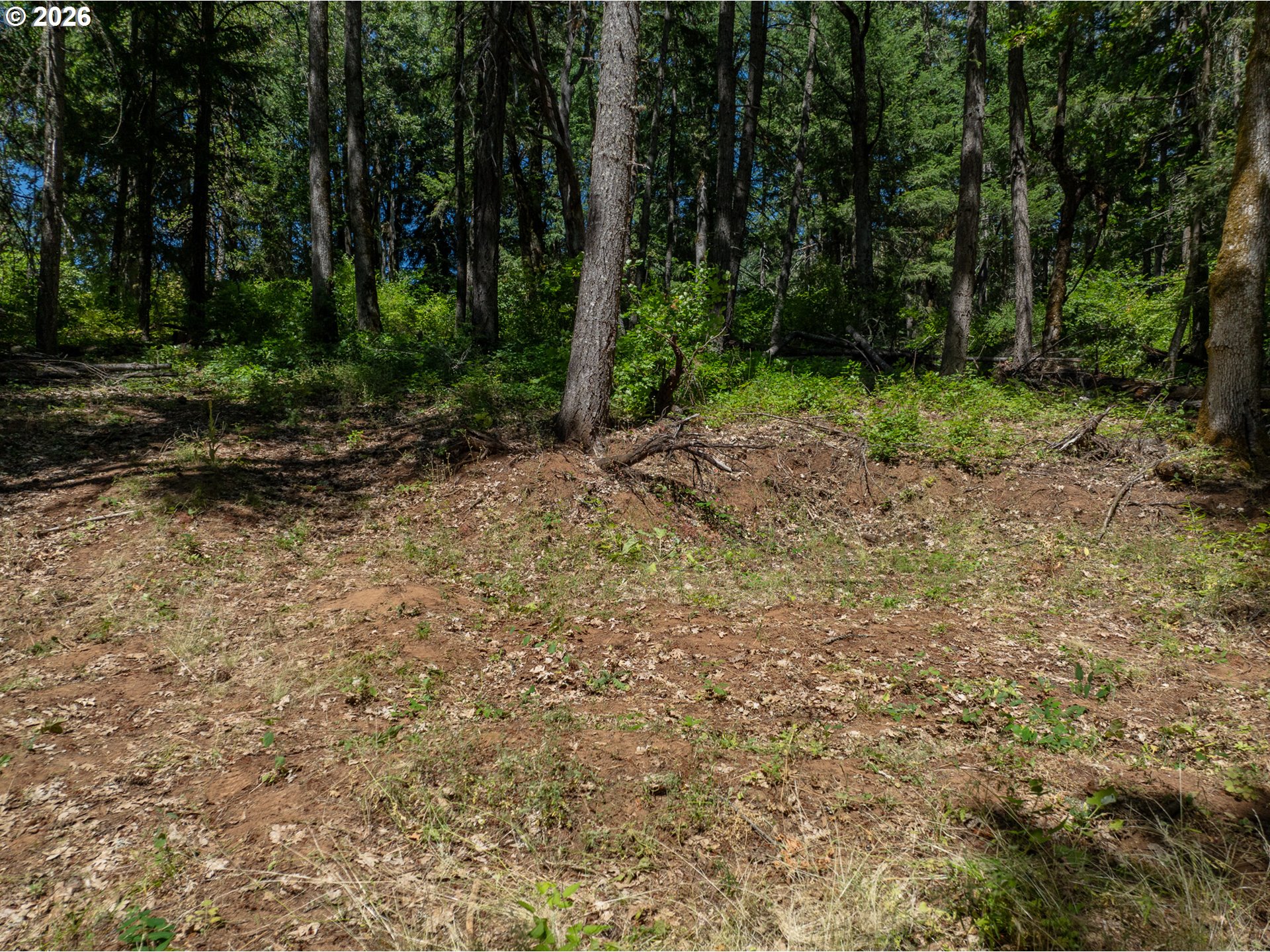 Lyons Road White Salmon, WA 98672 - Photo 35 of 35 Gallery Image 35