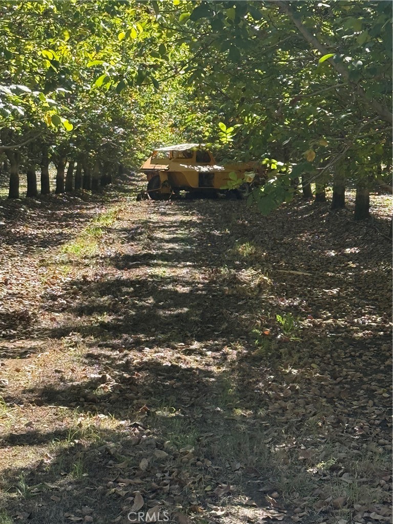 0 Rawson Road Gerber, CA 96035 - Photo 14 of 19 a water view