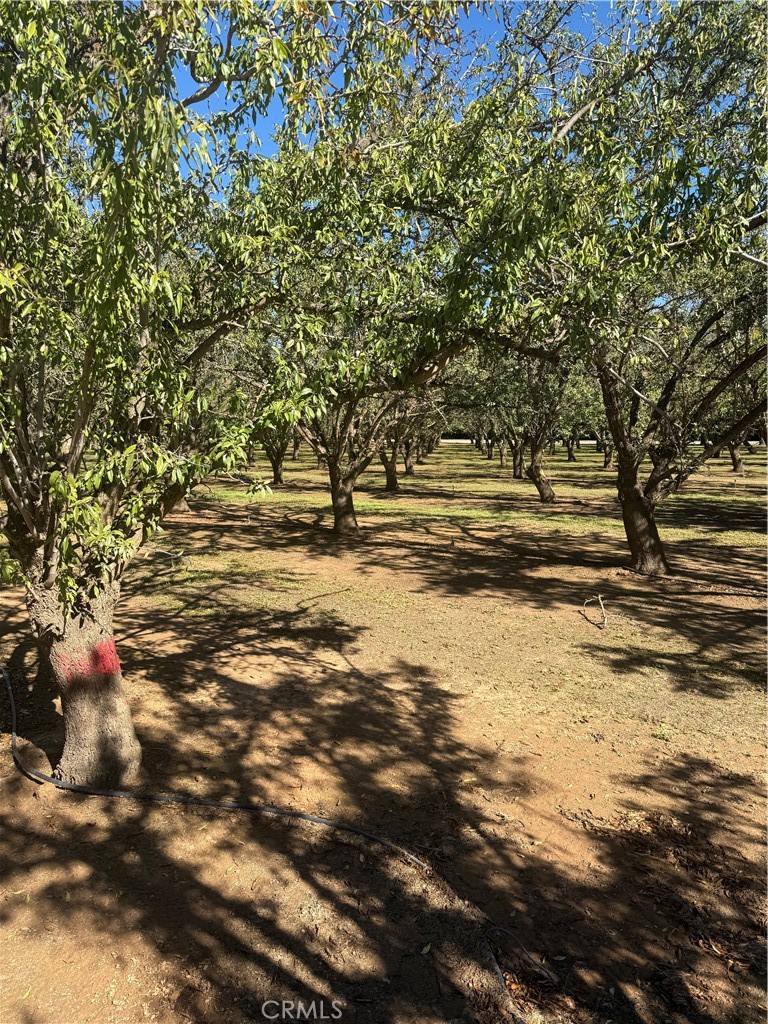 0 Rawson Road Gerber, CA 96035 - Photo 15 of 19 a view of outdoor space with deck and tree