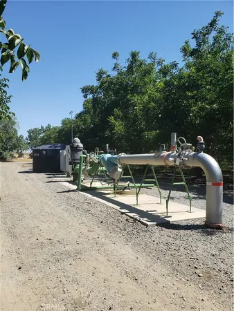 a view of backyard with outdoor seating and plants