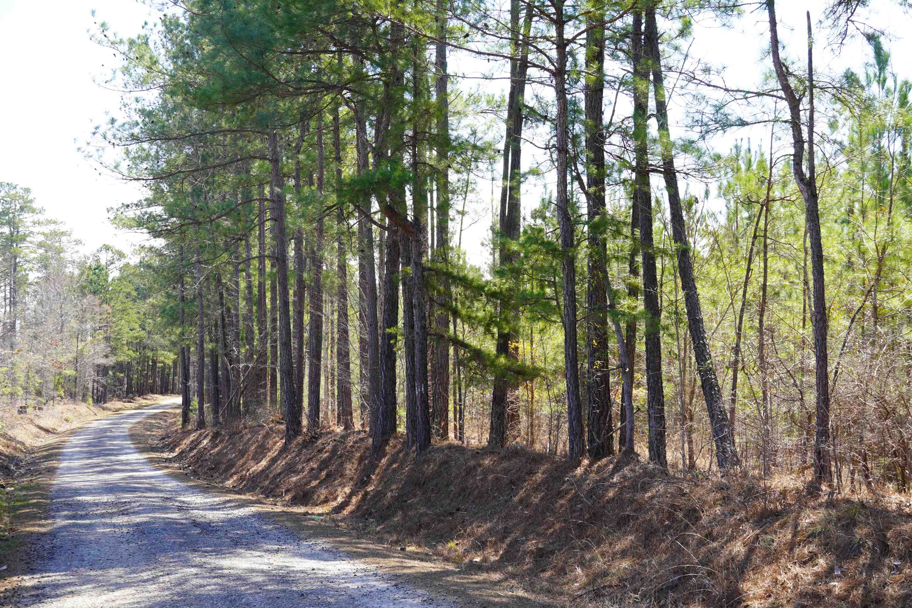 200 Davis Jeter Road Union, SC 29379 - Photo 2 of 12