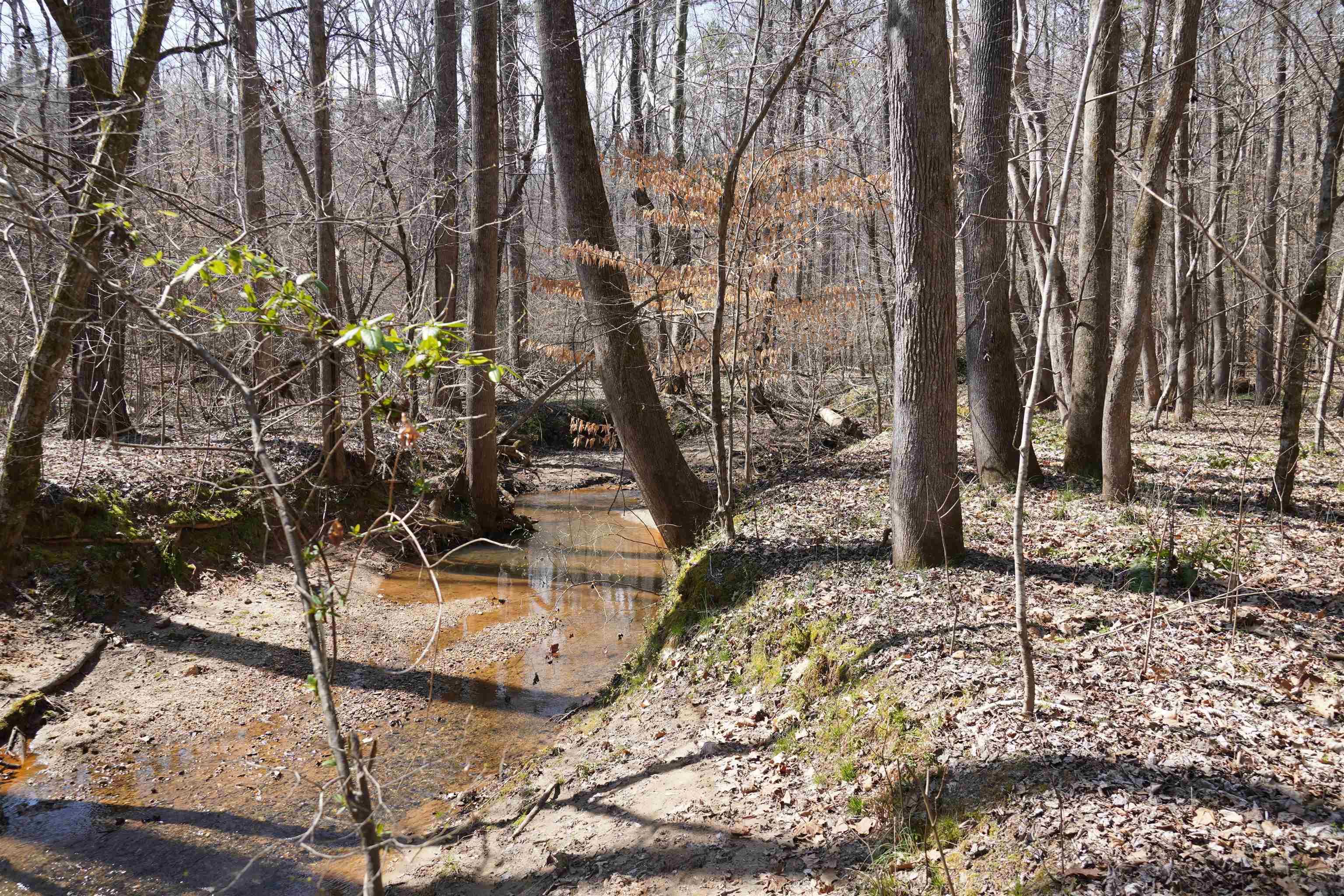 200 Davis Jeter Road Union, SC 29379 - Photo 7 of 12