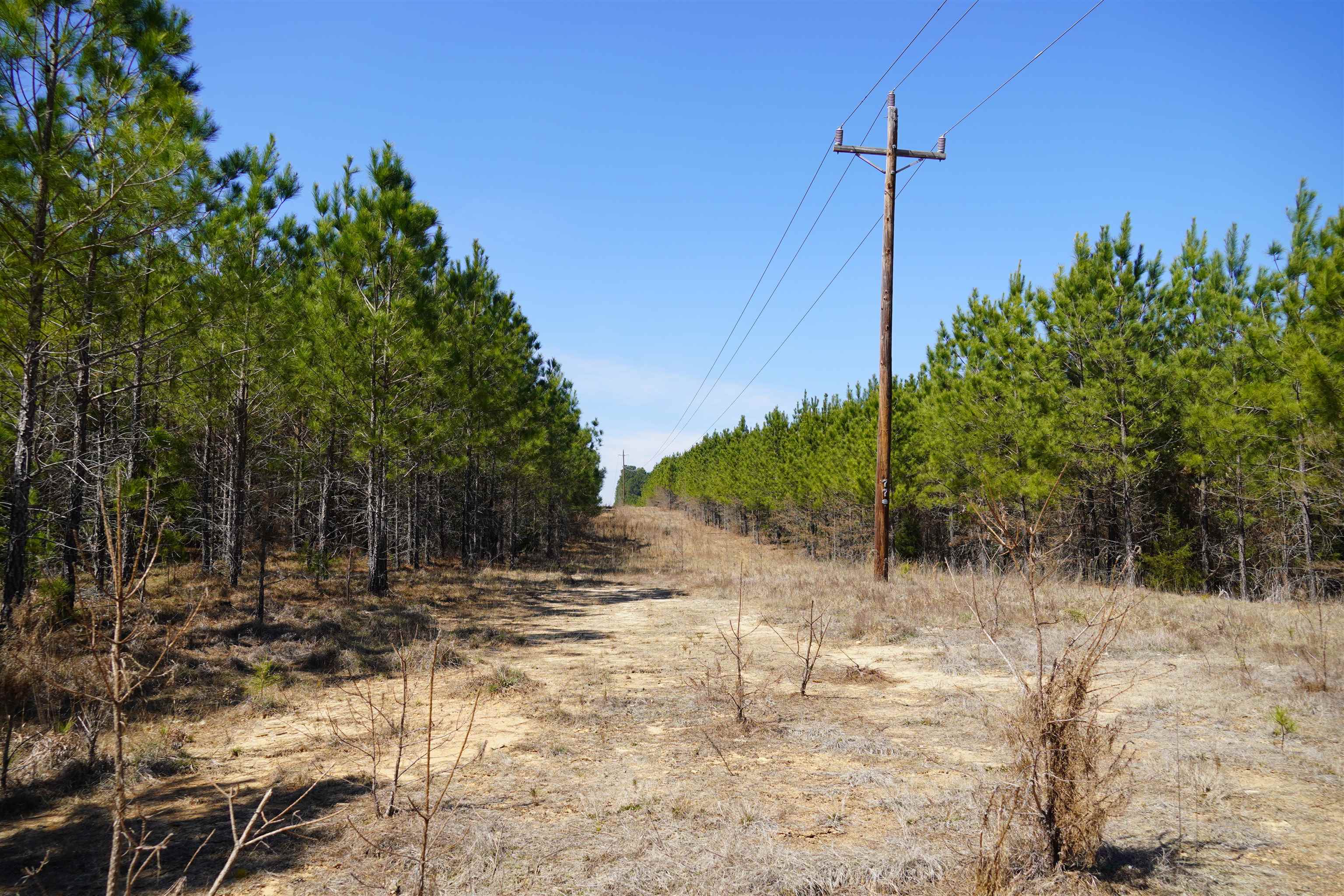 200 Davis Jeter Road Union, SC 29379 - Photo 10 of 12