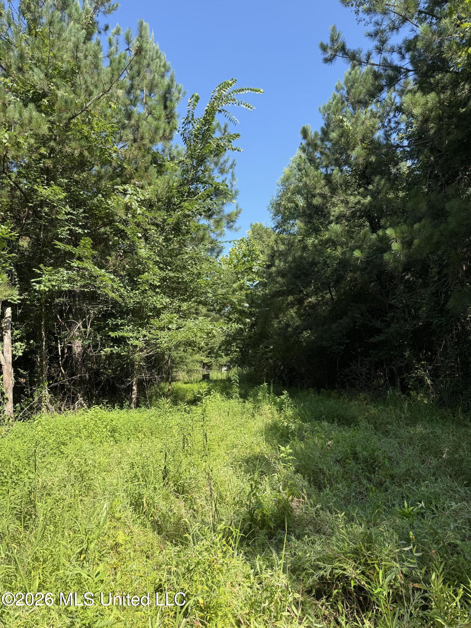 Winfry Road Kilmichael, MS 39747 - Photo 1 of 22 Cover