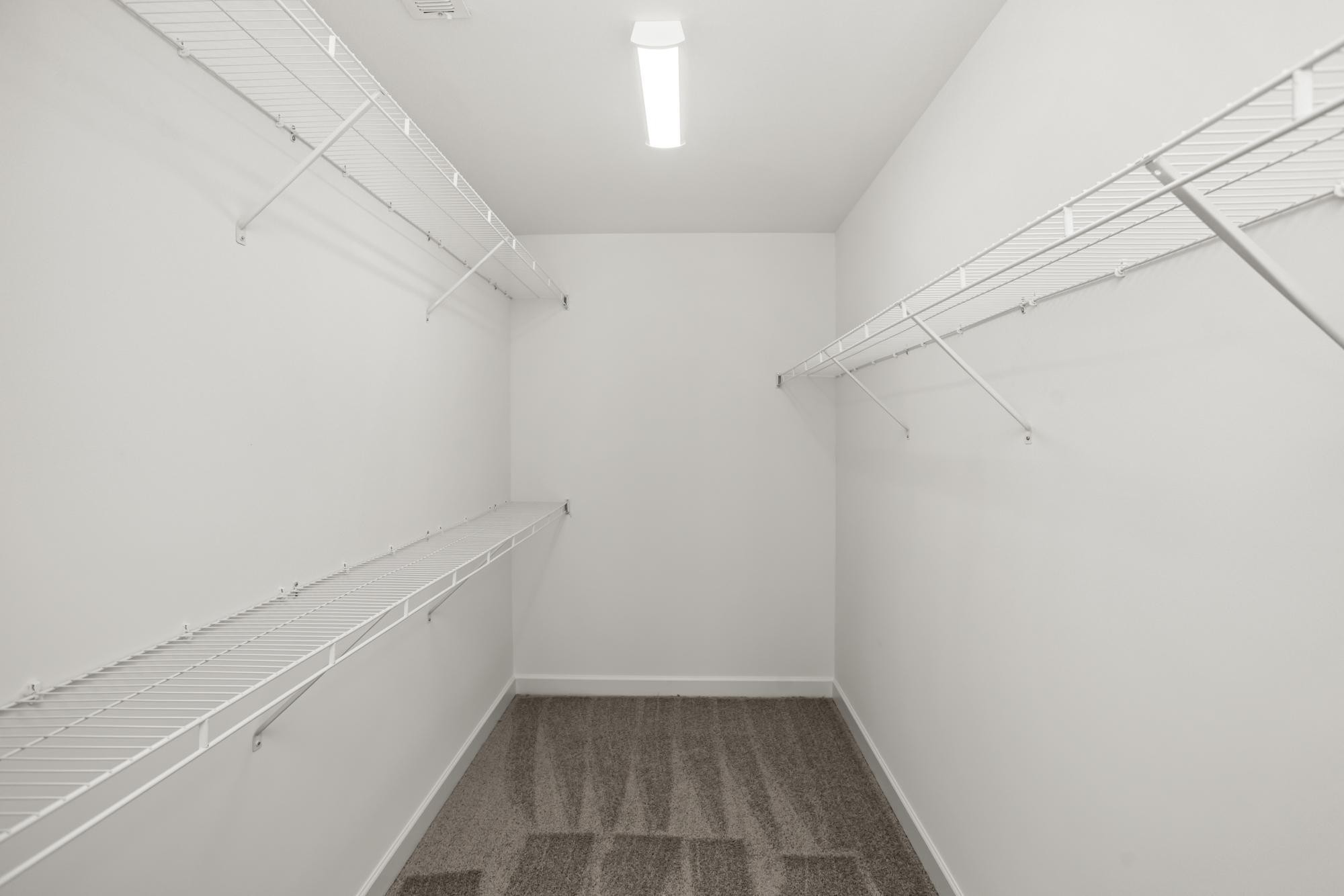 4014 Rampart Way Spring Hill Spring Hill, TN 37174 - Photo 39 of 48 a view of an empty walk in closet