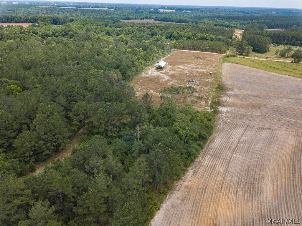 6.3-acres B Reeves Road Coffee Springs, AL 36318 - Photo 10 of 22 Gallery Image 10