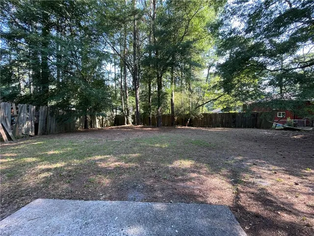 a view of a tree in the middle of a yard
