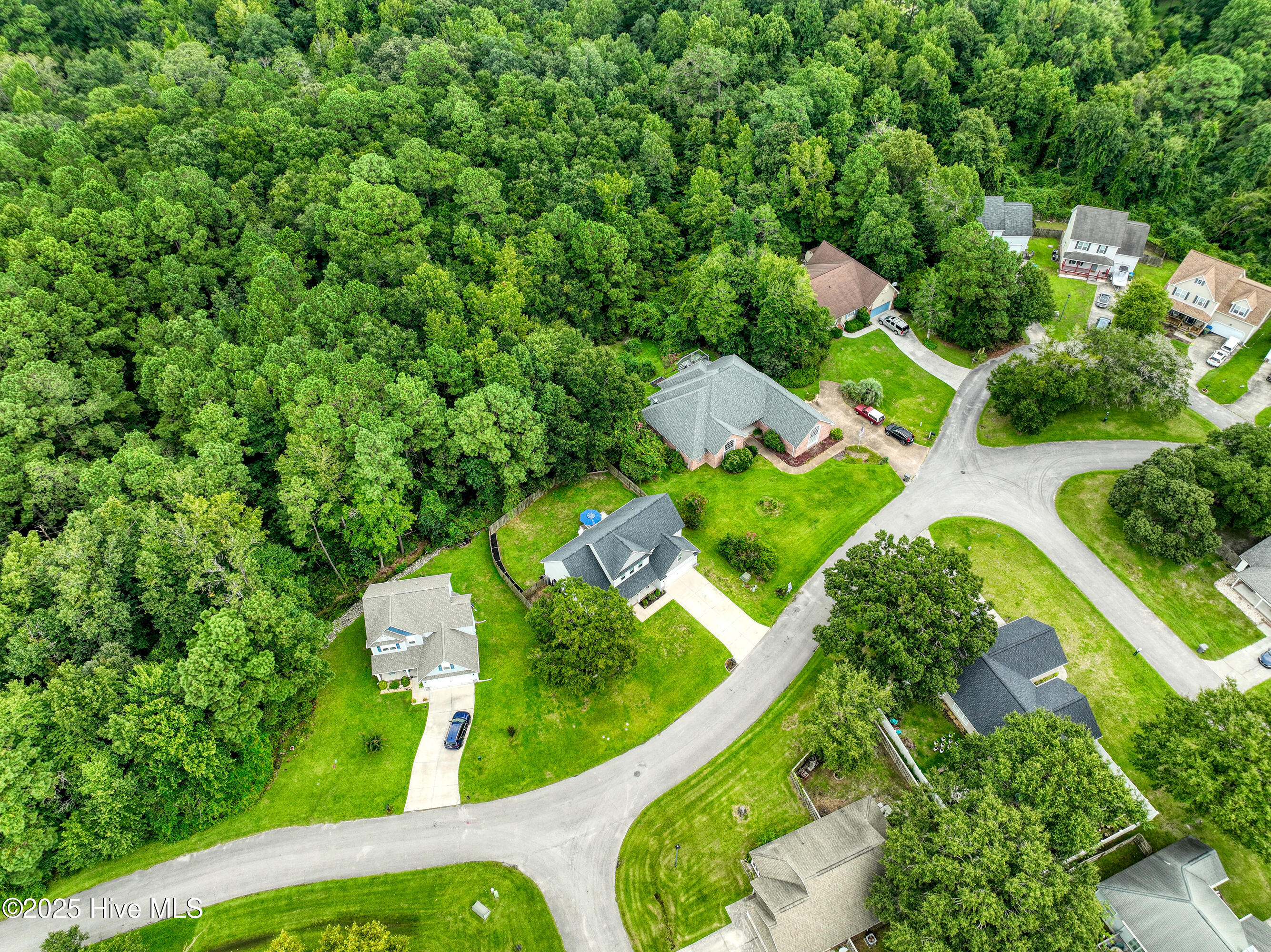 503 Riva Ridge Road Sneads Ferry, NC 28460 - Photo 67 of 81 DJI_0004_12