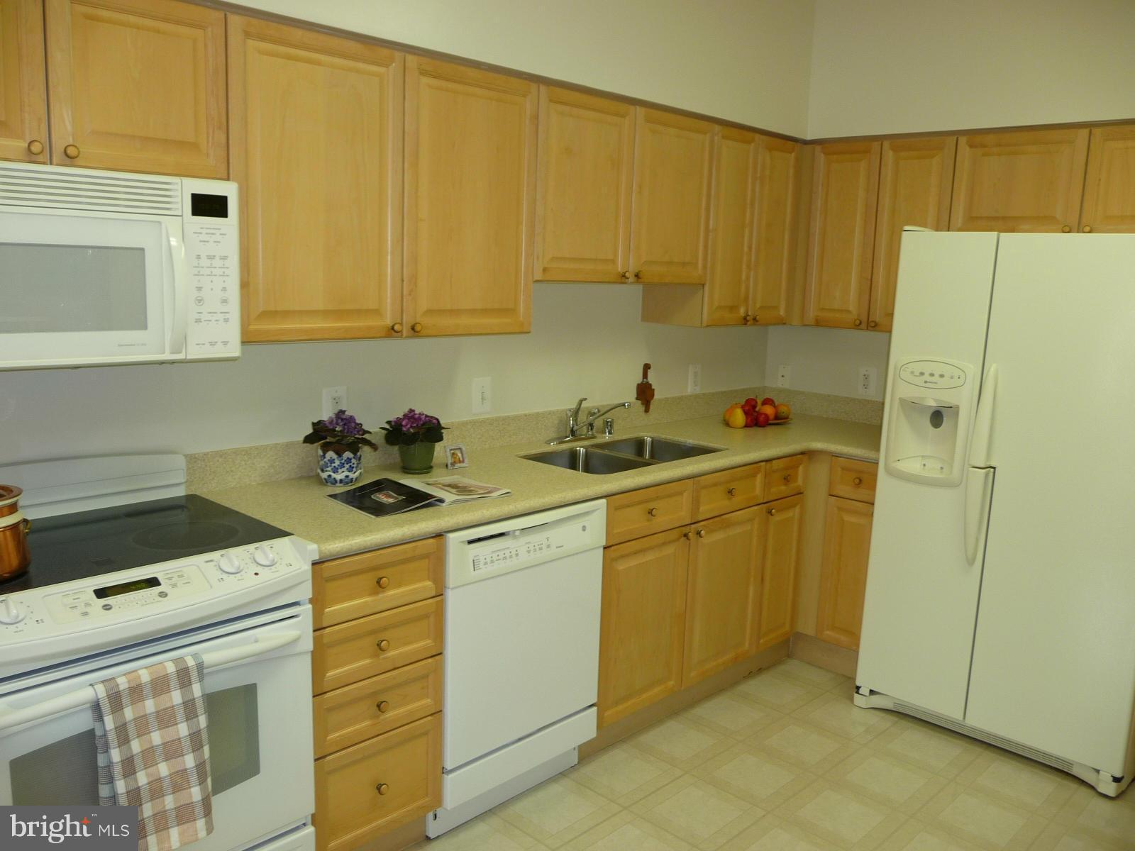 19365 Cypress Ridge Terrace, Unit 303 Leesburg, VA 20176 - Photo 2 of 13 Kitchen