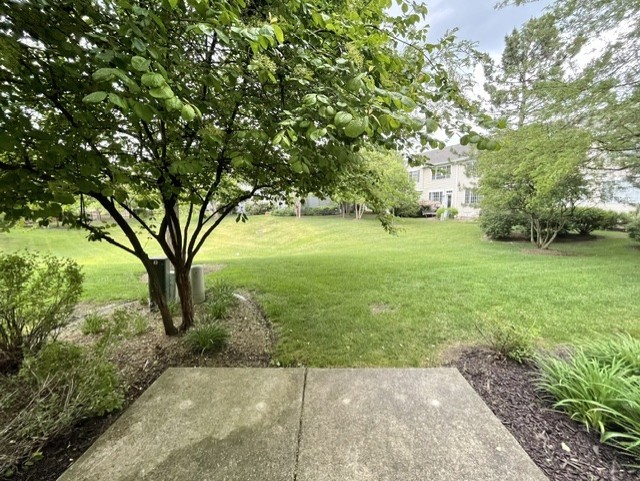 5454 Elizabeth Place Rolling Meadows, IL 60008 - Photo 19 of 21