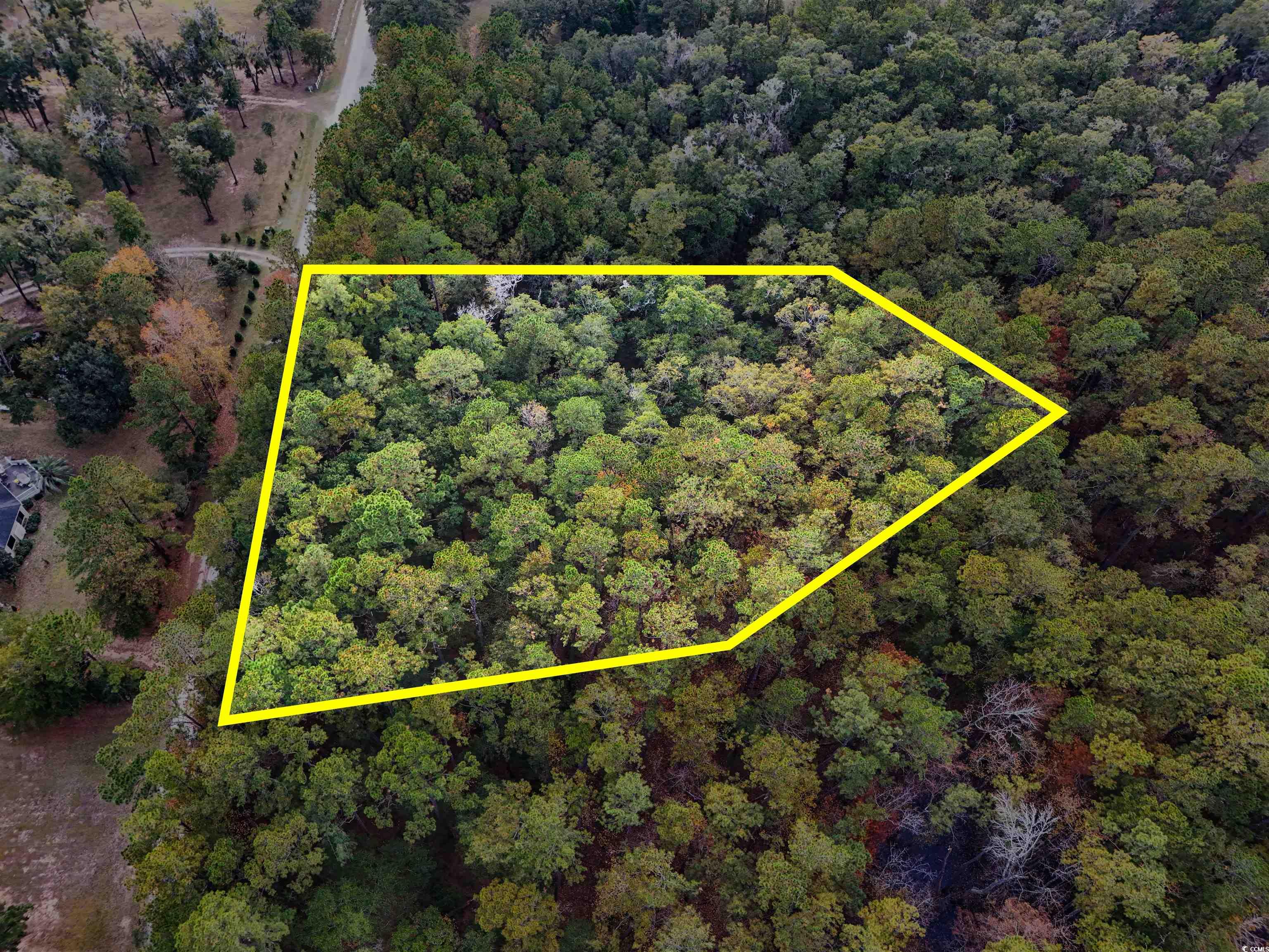 7 Santee Landing Road Georgetown, SC 29440 - Photo 4 of 11 Aerial view of property and surrounding area with property boundaries highlighted