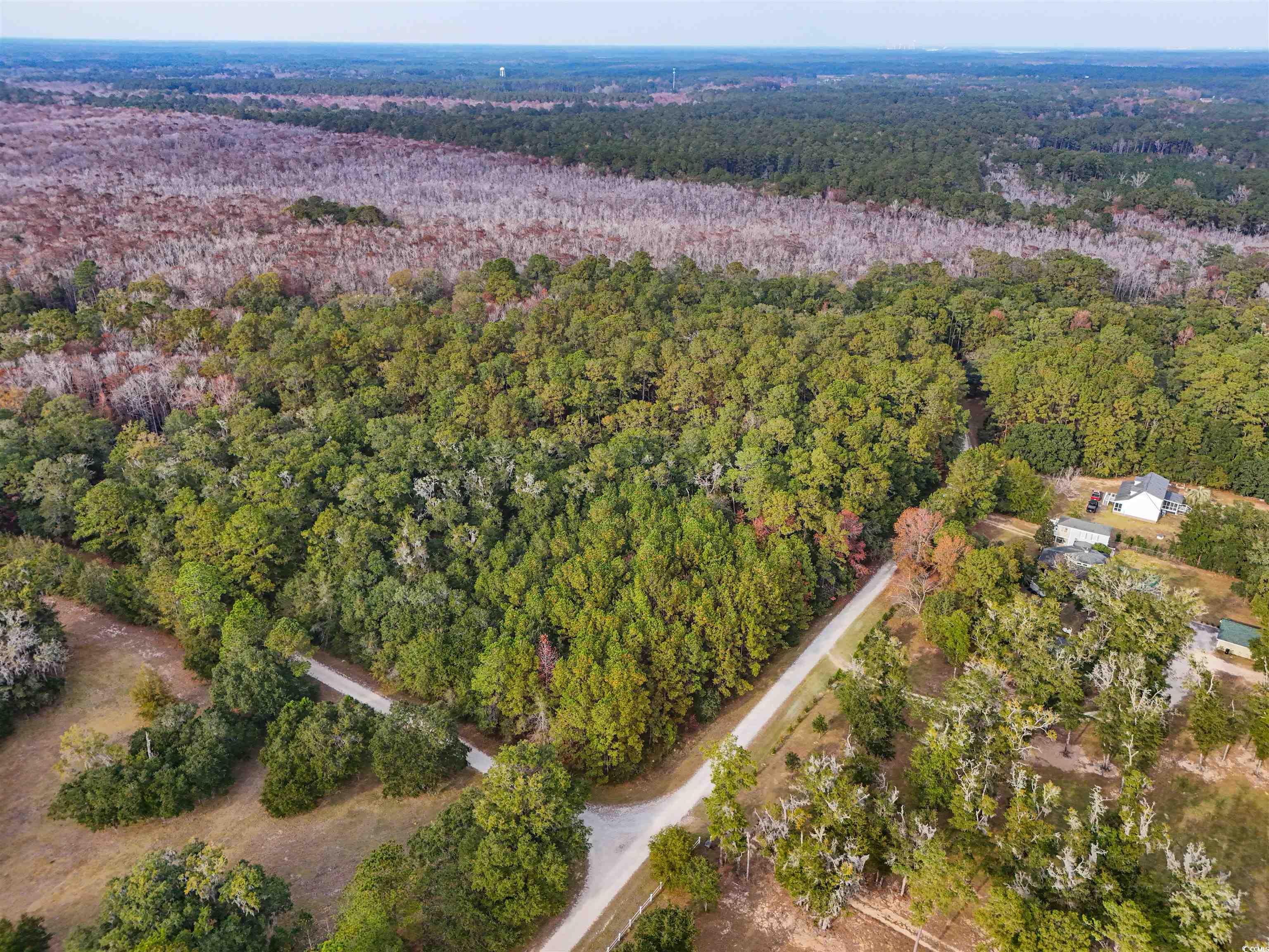 7 Santee Landing Road Georgetown, SC 29440 - Photo 9 of 11 Aerial overview of property's location featuring a heavily wooded area