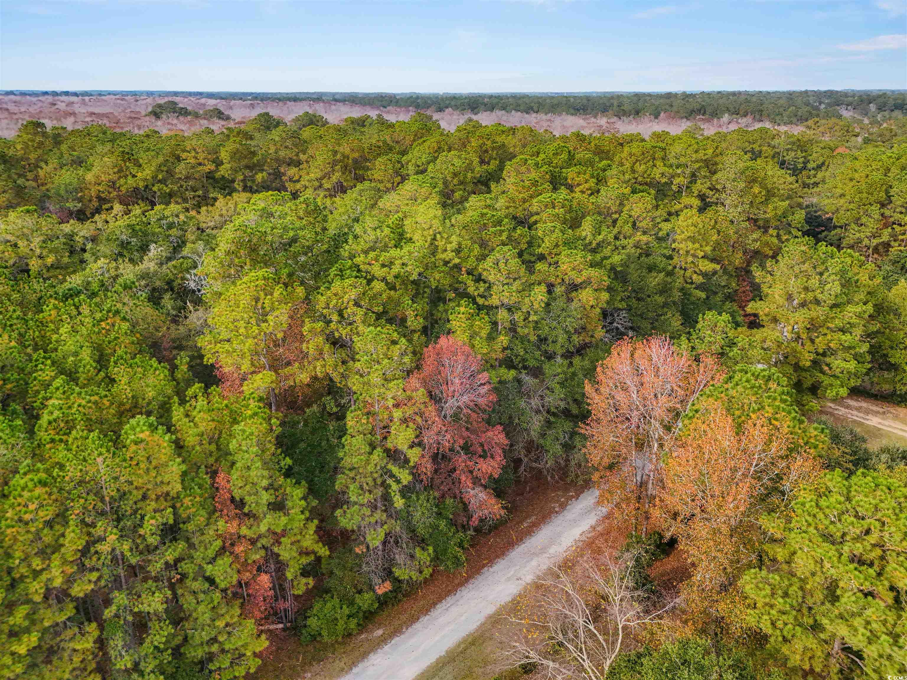 7 Santee Landing Road Georgetown, SC 29440 - Photo 10 of 11 Bird's eye view