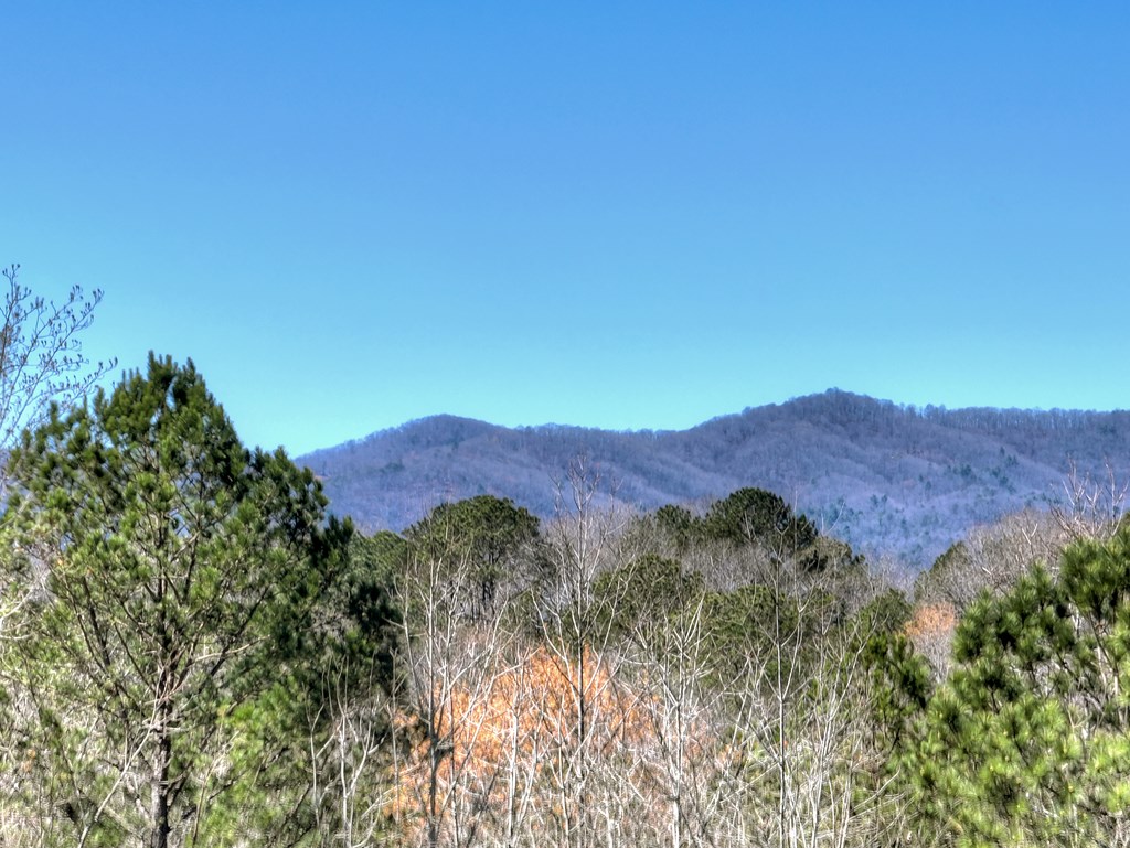 229 Crossroads Church Road Ellijay, GA 30540 - Photo 12 of 71