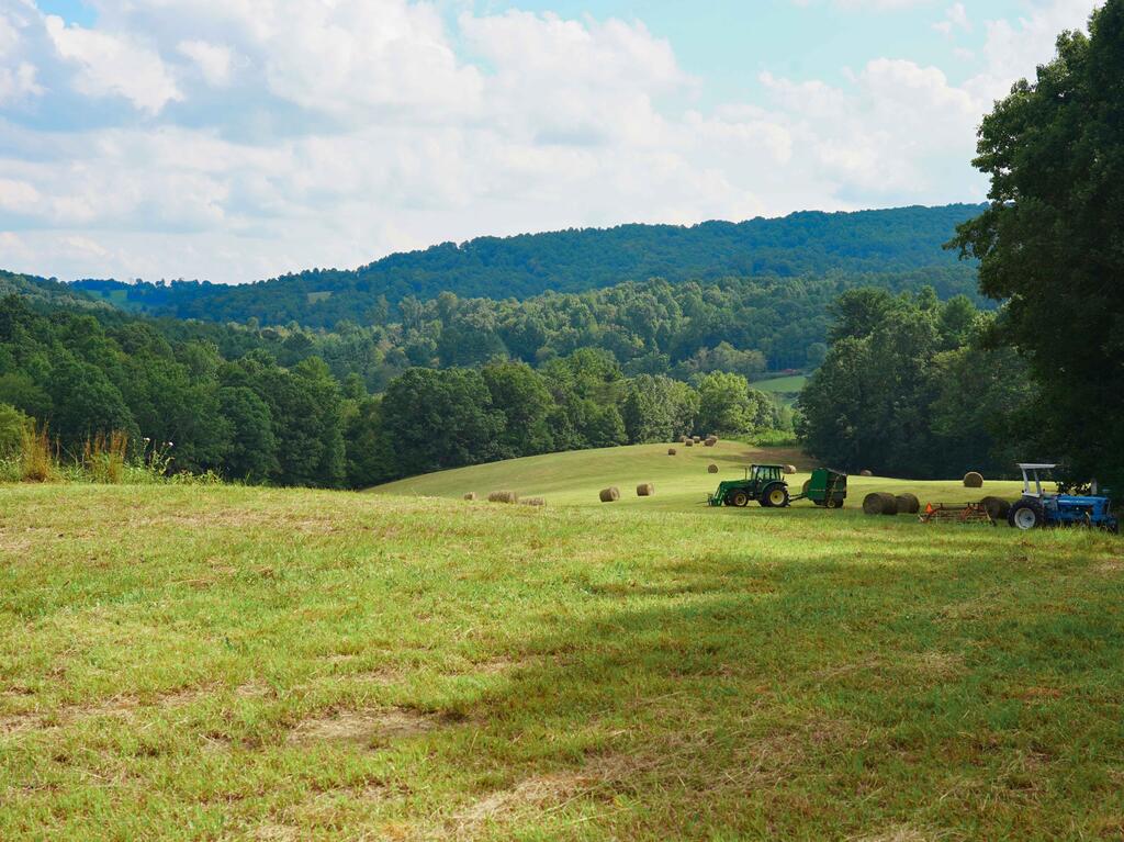 0 Northwest Shady Grove Road Willis, VA 24380 - Photo 1 of 25 Gallery Image 1