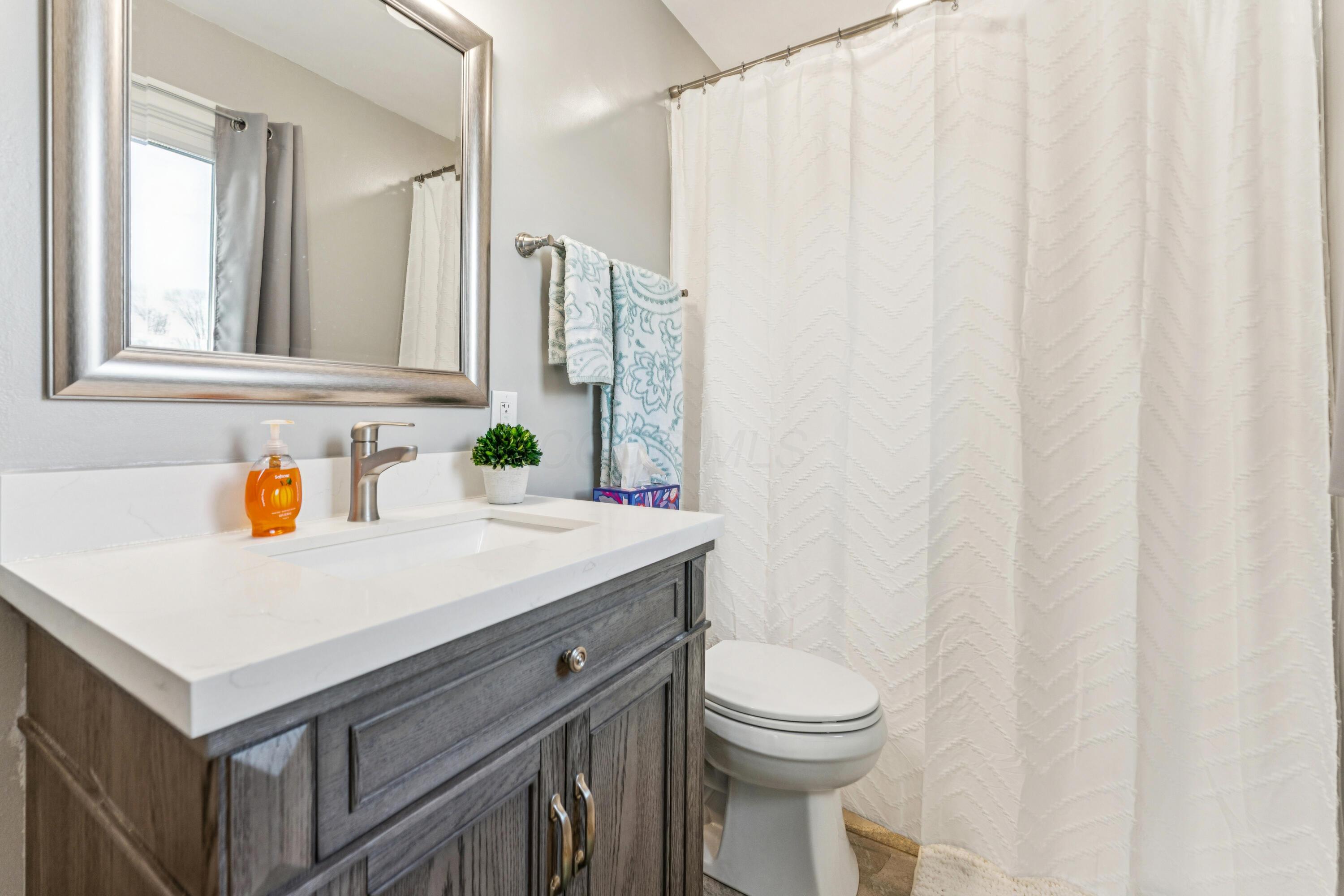 8378 Steitz Road Powell, OH 43065 - Photo 24 of 67 Owner's bathroom