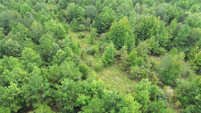 $699,000 | 0 State Highway, Crockett, TX 75835